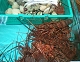 2011-1-113.jpg
